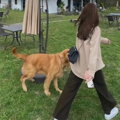 地狱公使第二季